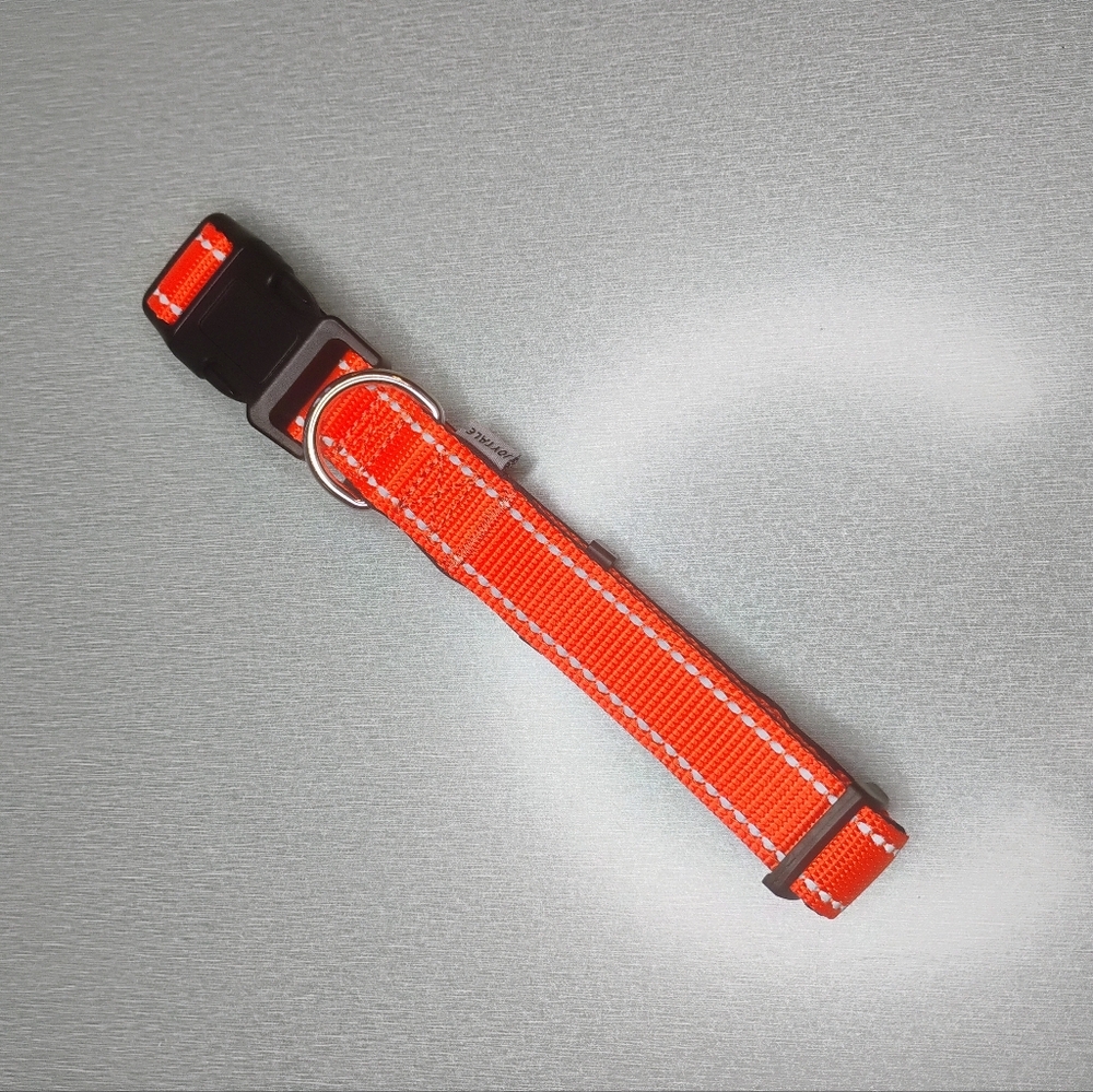Joytale Large Bright Orange Dog Collar
